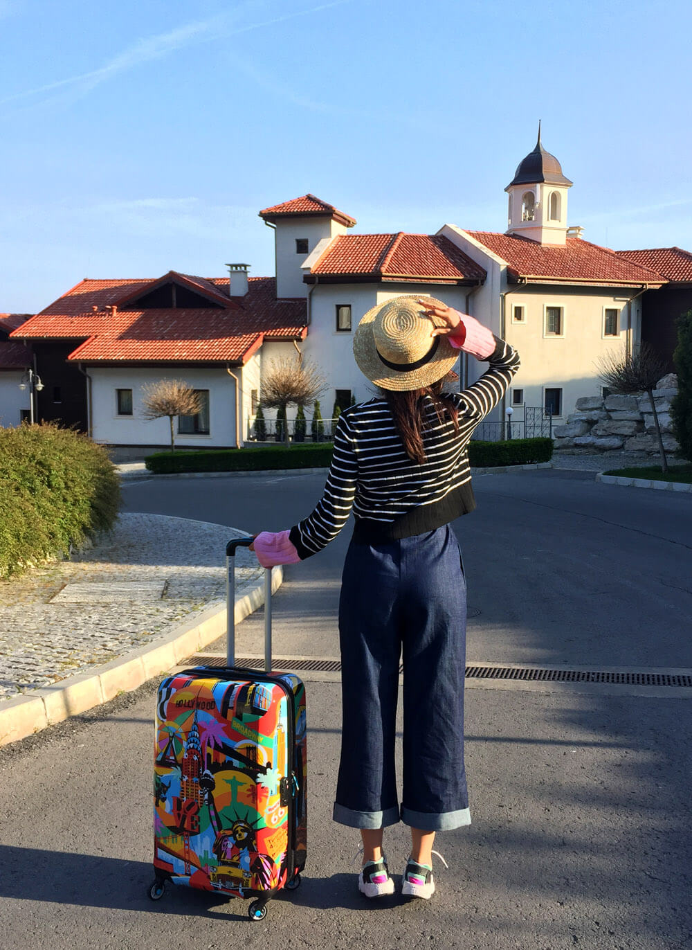 sandra stoicovici Zip Up